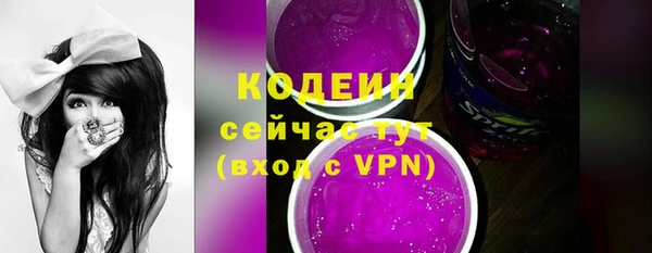 СК Богородск