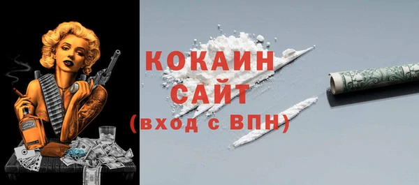 СК Богородск