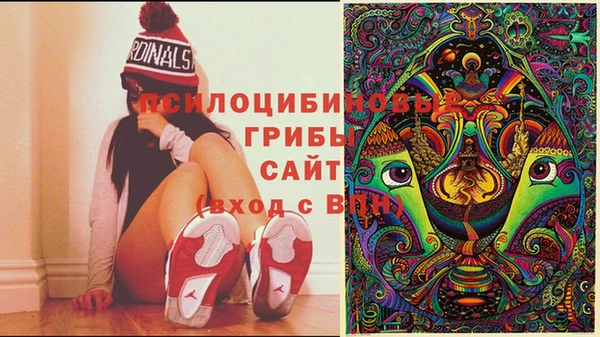мдма Богданович