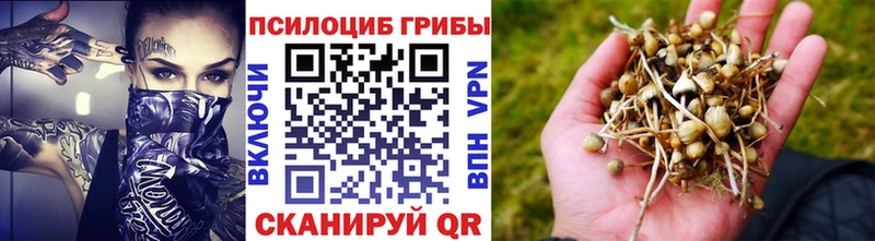 Псилоцибиновые грибы мухоморы  Котельнич 